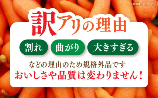 【先行予約】＜12月中旬～お届け＞【訳あり】宮崎さんのフルーツ人参10kg 長崎県/株式会社まるまさ [42ALAB002]フルーツ 人参 ニンジン にんじん キャロット 長崎 島原 野菜 ジュース スムージー 甘い 訳アリ