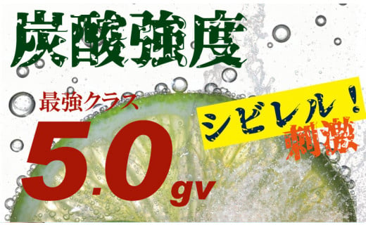 強炭酸水ストロングウォーター 500ml x 24本 (１ケース) 水・ミネラルウォーター ストロング スパークリングウォーター 炭酸水 0.5L 天然水 強炭酸 水 ハイボール ソーダ 割り材 友桝飲料 送料無料 水・ミネラルウォーター 炭酸飲料 ペットボトル 人気 ランキング 高評価 佐賀県 小城市