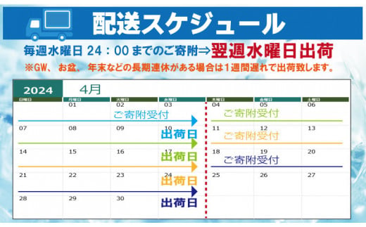 強炭酸水ストロングウォーター 500ml x 24本 (１ケース) 水・ミネラルウォーター ストロング スパークリングウォーター 炭酸水 0.5L 天然水 強炭酸 水 ハイボール ソーダ 割り材 友桝飲料 送料無料 水・ミネラルウォーター 炭酸飲料 ペットボトル 人気 ランキング 高評価 佐賀県 小城市