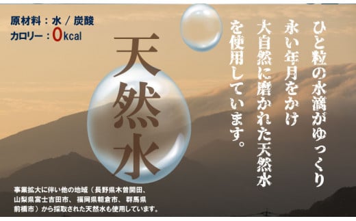 強炭酸水ストロングウォーター 500ml x 24本 (１ケース) 水・ミネラルウォーター ストロング スパークリングウォーター 炭酸水 0.5L 天然水 強炭酸 水 ハイボール ソーダ 割り材 友桝飲料 送料無料 水・ミネラルウォーター 炭酸飲料 ペットボトル 人気 ランキング 高評価 佐賀県 小城市