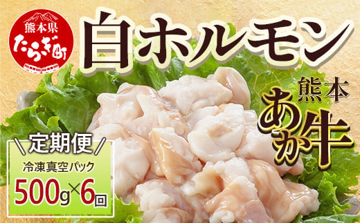 【定期便6回】熊本あか牛 白ホルモン 計3Kg (250g×2)×6回