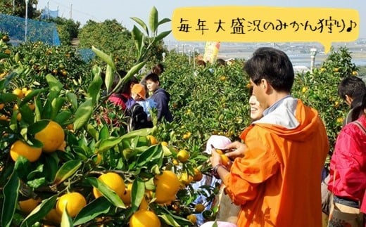 不知火 しらぬい 熊本玉名産 8kg | フルーツ 果物 くだもの 柑橘 ミカン みかん オレンジ 熊本県 玉名市