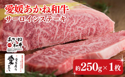 愛媛あかね和牛サーロインステーキ（約250ｇ×1枚） | 国産 和牛 牛肉 ブランド牛 ステーキ 焼肉 冷蔵 愛媛県 松前町