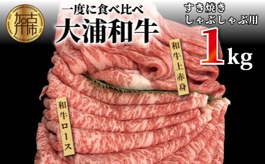 ★選べる配送月★【2月発送】大浦和牛すきやき・しゃぶセット(1kg)《 牛肉 牛 国産 すき焼き しゃぶしゃぶ セット おすすめ ロース 赤身 美味しい 食べ比べ 》【2405A00207-02】