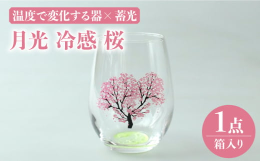 温度で変化する器 × 蓄光『月光 冷感 桜』【丸モ高木陶器】 グラス コップ 酒器  [TBA151]