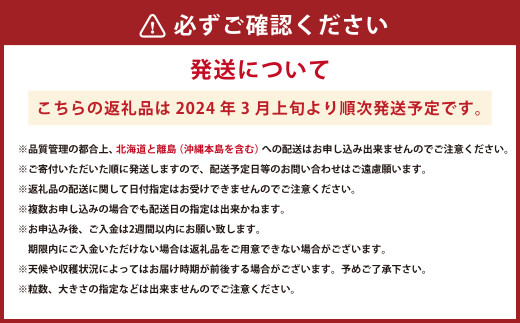 大谷ファームのあまおう4パック