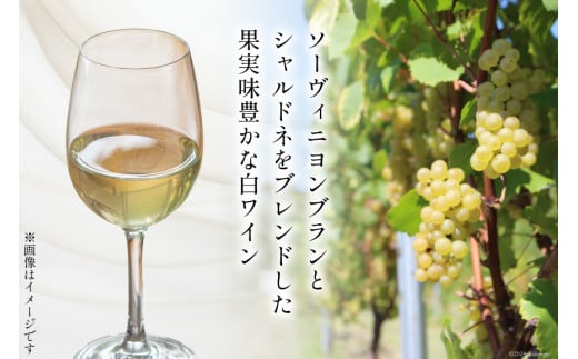 白 ワイン フェリーチェ ビアンコ 750ml 4本 [Poggio Verde（ポッジョ ヴェルデ） 長野県 池田町 48110682] 白ワイン わいん 国産ぶどう使用 お酒 酒 アルコール