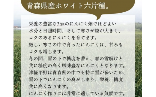 青森県産ホワイト六片種にんにく 1kg  大玉(贈答用)【23B1040】