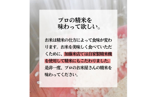 《定期便4ヶ月》 新米 玄米 特別栽培米 秋田県産 あきたこまち 米屋が認めたお米 「かとうくん」15kg（5kg×3袋）×4回 合計60kg