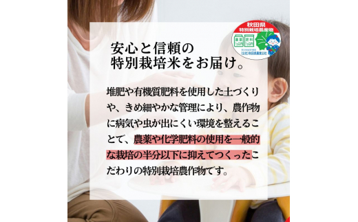 《定期便4ヶ月》 新米 玄米 特別栽培米 秋田県産 あきたこまち 米屋が認めたお米 「かとうくん」15kg（5kg×3袋）×4回 合計60kg