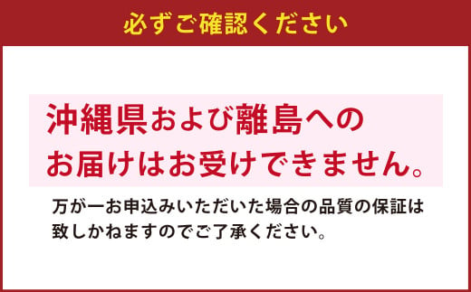 手打ちひやむぎ4人前（つゆ付）