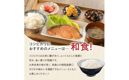 《 新米 》【 3ヶ月定期便 / 令和6年産 新米 】 コシヒカリ 計 10kg /月 ( 1回配送 5kg × 2袋 ) 2024年産 山形県 精米 米 白米 お米 ブランド米 お米マイスター 厳選米 山形県 米沢市 送料無料