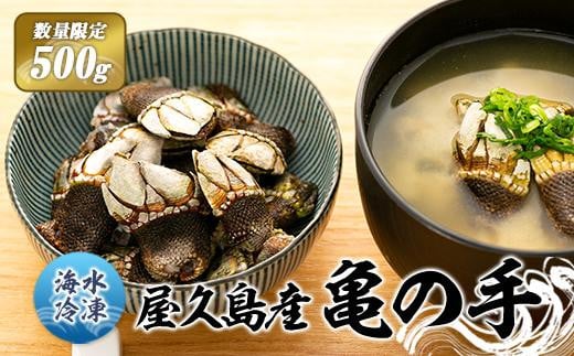 【数量限定】屋久島産「亀の手」500g【海水で冷凍】