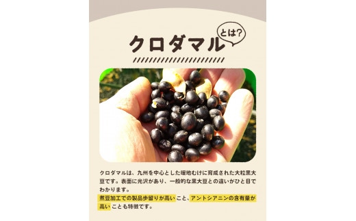 竹炭焙煎 こたけ珈琲とクロダマルの甘納豆・きな粉のセット 株式会社コモリファーム《30日以内に出荷予定(土日祝除く)》送料無料 福岡県小竹町