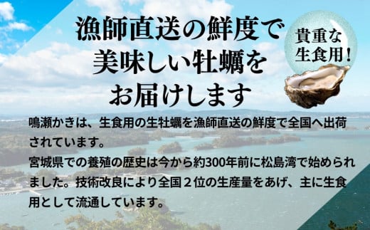 牡蠣 鳴瀬かき 生食用 600g (300g × 2)【2024年12月上旬から順次発送予定】【到着日指定必須！】 宮城県  奥松島産 牡蠣 かき カキ 生かき 生牡蠣  むき身 オンラインワンストップ 申請 対応 自治体マイページ 宮城県 東松島市