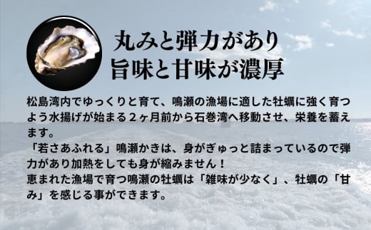 牡蠣 鳴瀬かき 生食用 600g (300g × 2)【2024年12月上旬から順次発送予定】【到着日指定必須！】 宮城県  奥松島産 牡蠣 かき カキ 生かき 生牡蠣  むき身 オンラインワンストップ 申請 対応 自治体マイページ 宮城県 東松島市