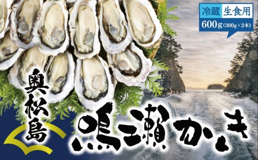 牡蠣 鳴瀬かき 生食用 600g (300g × 2)【2024年12月上旬から順次発送予定】【到着日指定必須！】 宮城県  奥松島産 牡蠣 かき カキ 生かき 生牡蠣  むき身 オンラインワンストップ 申請 対応 自治体マイページ 宮城県 東松島市