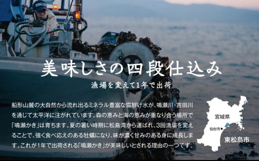 牡蠣 鳴瀬かき 生食用 600g (300g × 2)【2024年12月上旬から順次発送予定】【到着日指定必須！】 宮城県  奥松島産 牡蠣 かき カキ 生かき 生牡蠣  むき身 オンラインワンストップ 申請 対応 自治体マイページ 宮城県 東松島市