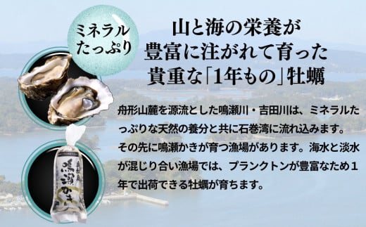 牡蠣 鳴瀬かき 生食用 600g (300g × 2)【2024年12月上旬から順次発送予定】【到着日指定必須！】 宮城県  奥松島産 牡蠣 かき カキ 生かき 生牡蠣  むき身 オンラインワンストップ 申請 対応 自治体マイページ 宮城県 東松島市