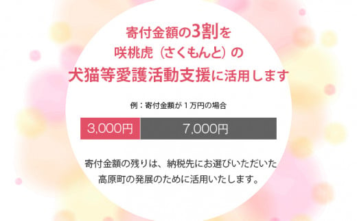 【返礼品なし】【犬猫等愛護活動 犬と猫と人にとって住みよい社会づくりを応援】宮崎県 高原町 特定非営利活動法人 咲桃虎(さくもんと) チャリティー 寄付 募金 動物愛護　TF3000 TF3000-P00056