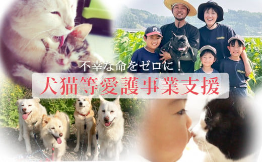 【返礼品なし】【犬猫等愛護活動 犬と猫と人にとって住みよい社会づくりを応援】宮崎県 高原町 特定非営利活動法人 咲桃虎(さくもんと) チャリティー 寄付 募金 動物愛護　TF3000 TF3000-P00056