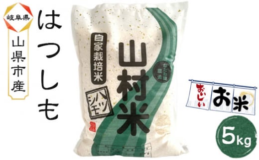  山県市産 ハツシモ 5kg（5kg×1袋）（白米） [No.797] ／ お米 ブランド米 優良水田 岐阜県 特産品