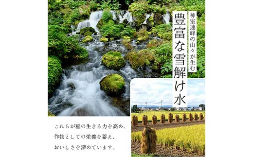 【金山町×新庄市 共通返礼品】米の娘餃子とR5はえぬき4kg	F4B-0435