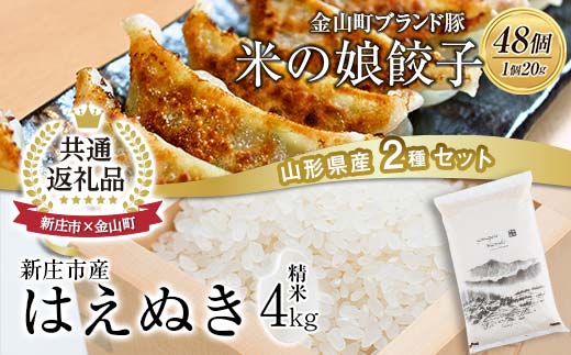 【金山町×新庄市 共通返礼品】米の娘餃子とR5はえぬき4kg	F4B-0435