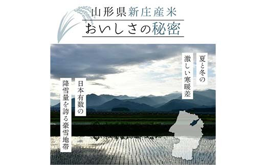 【金山町×新庄市 共通返礼品】米の娘餃子とR5はえぬき4kg	F4B-0435