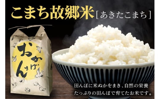 こまち故郷米＜あきたこまち＞5kg×1袋 令和6年産