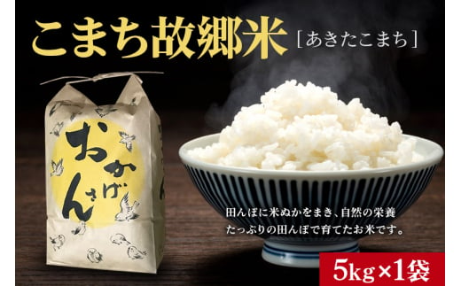 こまち故郷米＜あきたこまち＞5kg×1袋 令和6年産