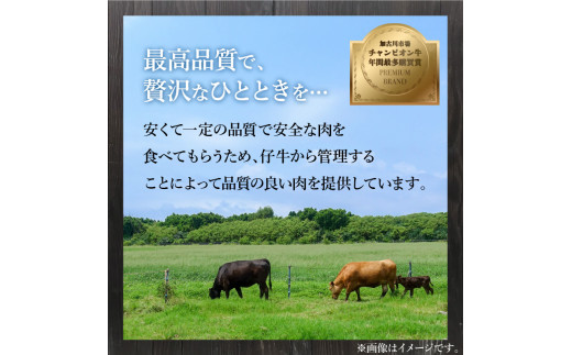 「志方牛」しゃぶしゃぶ(300g)《 しゃぶしゃぶ 牛肉 志方牛 国産 牛 おすすめ おいしい こだわり たれ付き 鍋 セット 詰め合わせ 》【2402A00408】