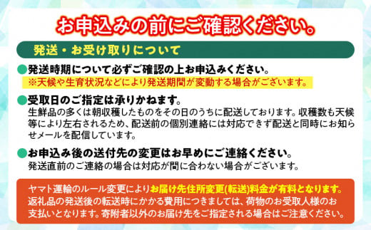 【令和6年産】ラ・フランス 5Lサイズ以上 約4kg　山形県鶴岡市産 （2024年11月中旬頃～発送） 長南農園