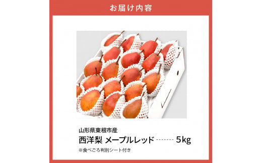 【令和6年産 先行予約】西洋梨メープルレッド5kg　秀品　化粧箱入り 山形県 東根市 東根農産センター提供 hi027-139