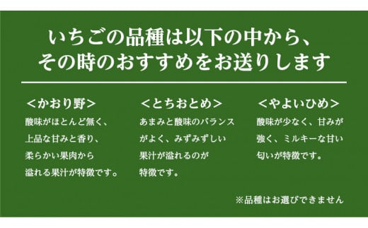 【2ヵ月 定期便】 完熟 いちご 定期便！ 2パック × 2回	合計 4パック （1P約280g） 定期便 国産 いちご イチゴ 苺 果物 かおり野 とちおとめ やよいひめ フルーツ 茨城県産 KEK [BC073sa]