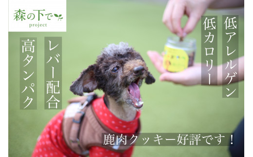 愛犬用 鹿肉ジャーキー & クッキー セット 各2袋 手作り 犬用 子犬 成犬 国産 ドッグフード おやつ 餌 エサ 高タンパク ペット用品 ペット 犬 トッピング ジビエ 小分け 個包装 京都 木津川 