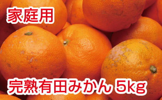 家庭用　完熟有田みかん5kg+150g（傷み補償分）【わけあり・訳あり】【光センサー選別】＜2024年11月～2025年1月下旬ごろに順次発送＞【ikd007B】