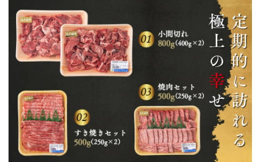 ＜定期便・3回(連続)＞高千穂牛・定期便(3ヶ月)国産 宮崎県産 宮崎牛 牛肉 煮込み料理 小間切れ すきやき 焼肉 霜降り A4 和牛【MT009】【JAみやざき 高千穂牛ミートセンター】