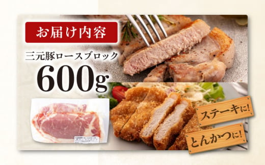  肉 豚肉 ロース ブロック ローストポーク 煮豚 酢豚 煮物 冷凍配送 