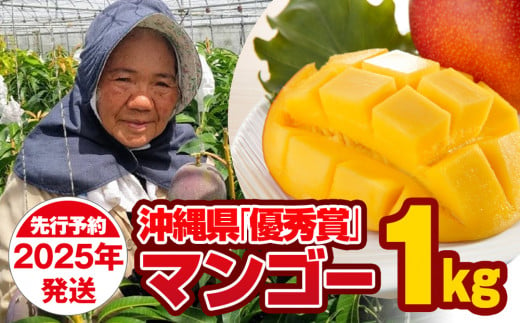 【2025年発送】芳醇な香り　とろける食感　沖縄県「優秀賞」マンゴー1kg