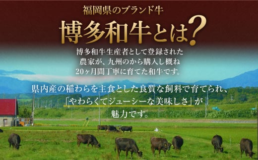 【数量限定 訳あり】【A4・A5】 博多和牛 切り落とし 合計約1.5kg 牛肉 和牛 肉 お肉 国産 冷凍 岡垣町