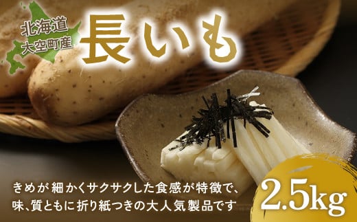 大空町産長いも2.5kg 【 ふるさと納税 人気 おすすめ ランキング 長いも いも 長イモ イモ 長芋 とろろ 野菜 2.5kg 北海道 大空町 送料無料 】 OSA001