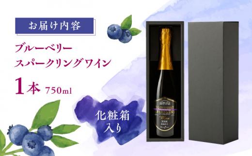 【化粧箱入】スパークリングワイン 750ml ブルーベリー ワイン 熊本 山都【社会福祉法人 御陽会 サポートハウス 明星学園】[YBM010] 