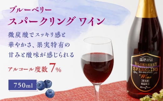 【化粧箱入】スパークリングワイン 750ml ブルーベリー ワイン 熊本 山都【社会福祉法人 御陽会 サポートハウス 明星学園】[YBM010] 