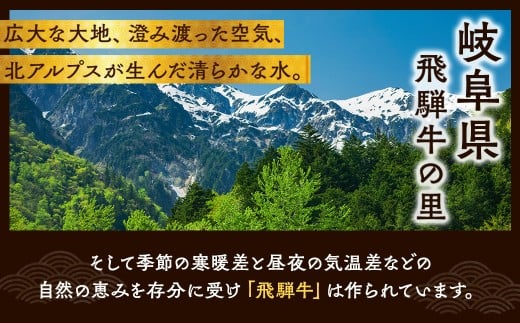 飛騨牛切り落とし 300g ※離島への配送不可｜牛 牛肉 飛騨牛 肉  国産 和牛 赤身 焼肉 1万円以下 切り落し 飛騨牛牛肉 飛騨牛肉 切り落とし牛肉 切り落とし飛騨牛 飛騨牛 和牛肉 和牛飛騨牛 国産牛肉 国産飛騨牛 瑞穂市牛肉 瑞穂市飛騨牛 ぎゅうにく 飛騨ぎゅう 飛騨 牛 切り落とし 牛肉通販 飛騨牛ギフト ひだ 牛肉お中元 牛肉お歳暮 牛肉ギフト カレー  牛肉カレー ひだ あかみ