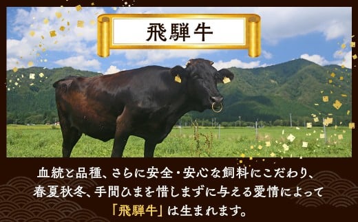 飛騨牛切り落とし 300g ※離島への配送不可｜牛 牛肉 飛騨牛 肉  国産 和牛 赤身 焼肉 1万円以下 切り落し 飛騨牛牛肉 飛騨牛肉 切り落とし牛肉 切り落とし飛騨牛 飛騨牛 和牛肉 和牛飛騨牛 国産牛肉 国産飛騨牛 瑞穂市牛肉 瑞穂市飛騨牛 ぎゅうにく 飛騨ぎゅう 飛騨 牛 切り落とし 牛肉通販 飛騨牛ギフト ひだ 牛肉お中元 牛肉お歳暮 牛肉ギフト カレー  牛肉カレー ひだ あかみ