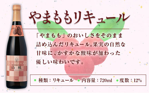 南国宮崎県産 果実リキュール 飲み比べ3本セット