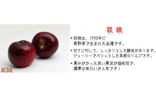 りんご 秋映 家庭用 5kg 丸山りんご園 沖縄県への配送不可 2024年10月上旬頃から2024年10月下旬頃まで順次発送予定 令和6年度収穫分 信州 果物 フルーツ リンゴ 林檎 長野 12000円 予約 農家直送 長野県 飯綱町 [0707]