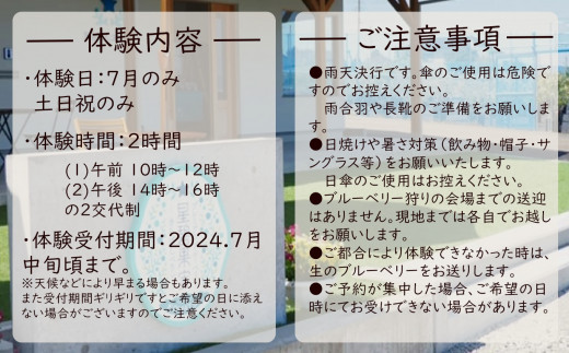  ブルーベリー摘み取り体験《大人1名様》