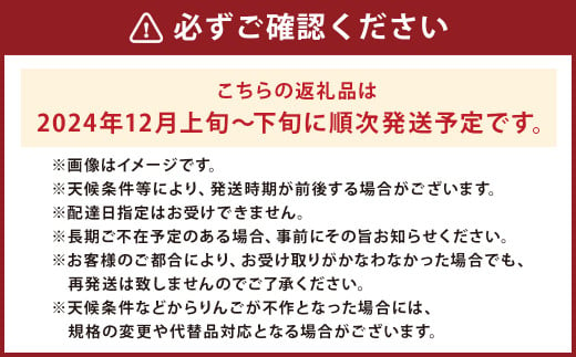 二戸産 カシオペア 冬恋はるか 約2.5kg